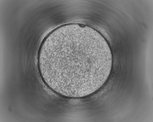 X0000111130944200907281048