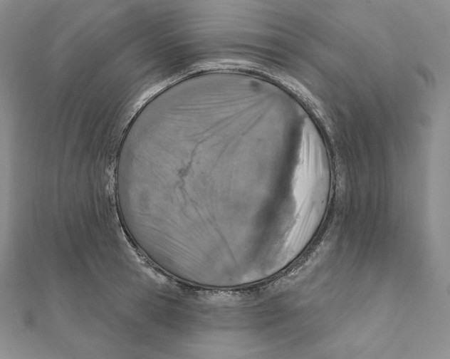X0000111130945200907281048