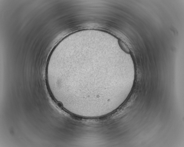 X0000111130946200907281048