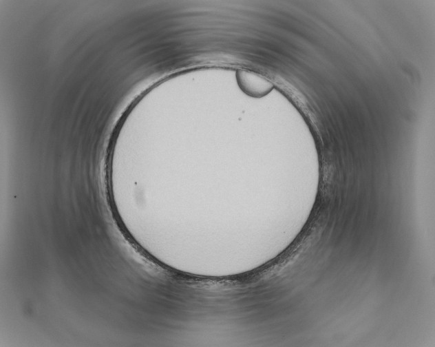 X0000111130947200907281048