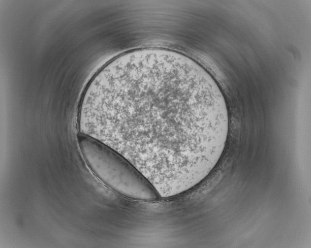 X0000111130948200907281048