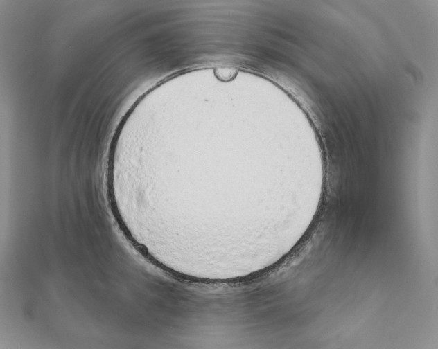 X0000111130949200907281048