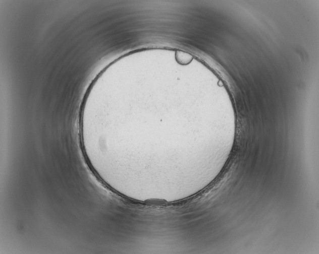 X0000111130951200907281048