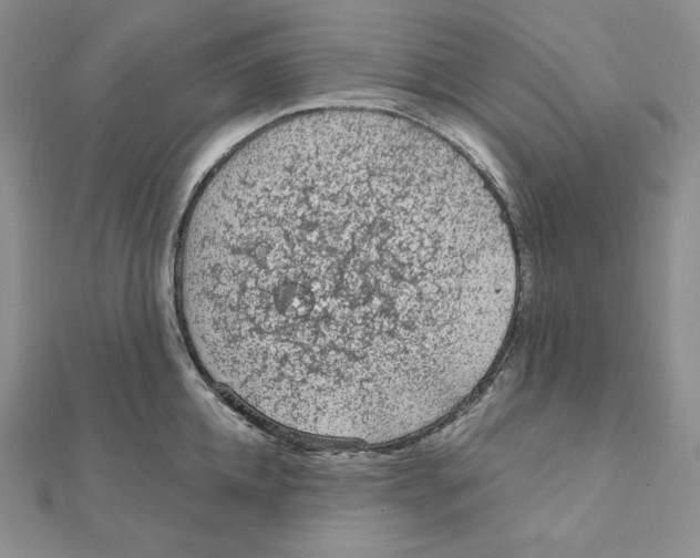 X0000111130952200907281048