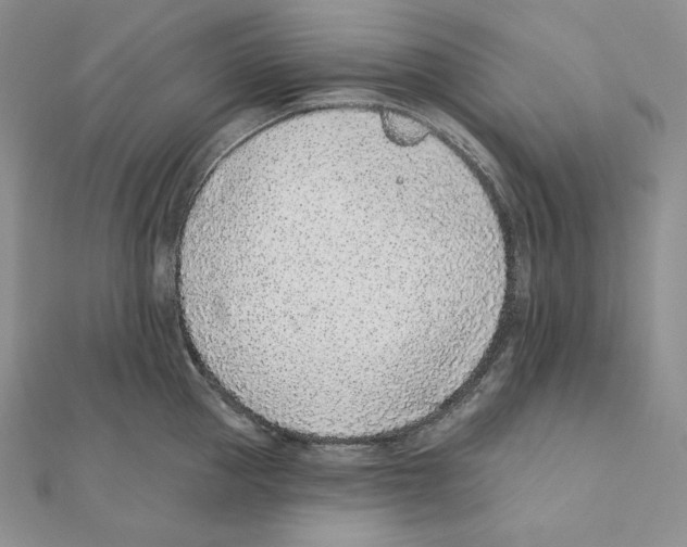 X0000111130953200907281048