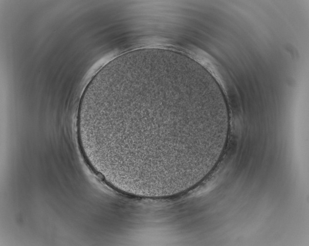 X0000111130954200907281048