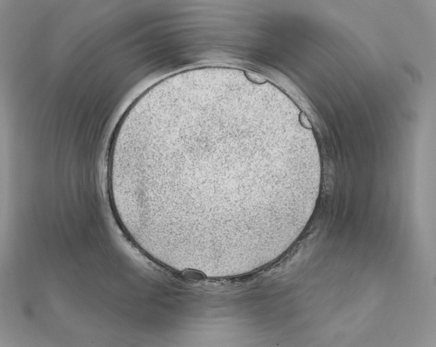 X0000111130955200907281048