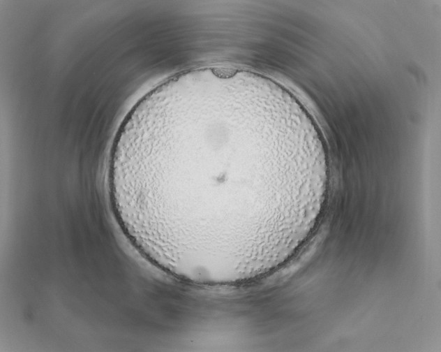 X0000111130957200907281048