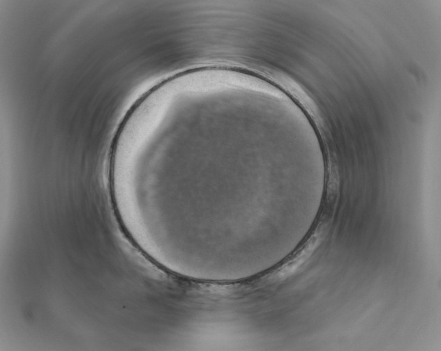 X0000111130958200907281048