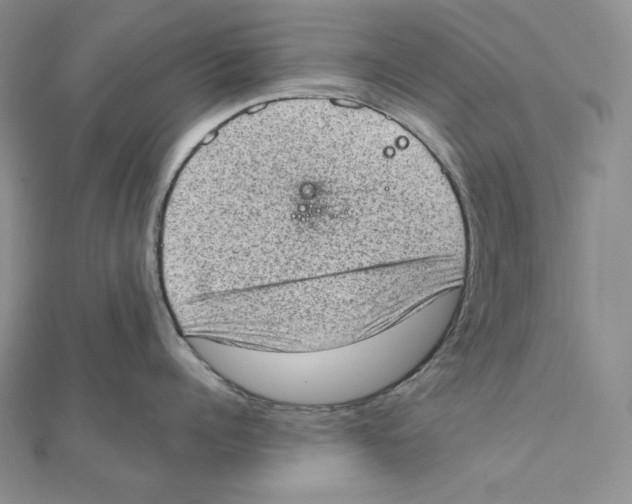X0000111130960200907281048
