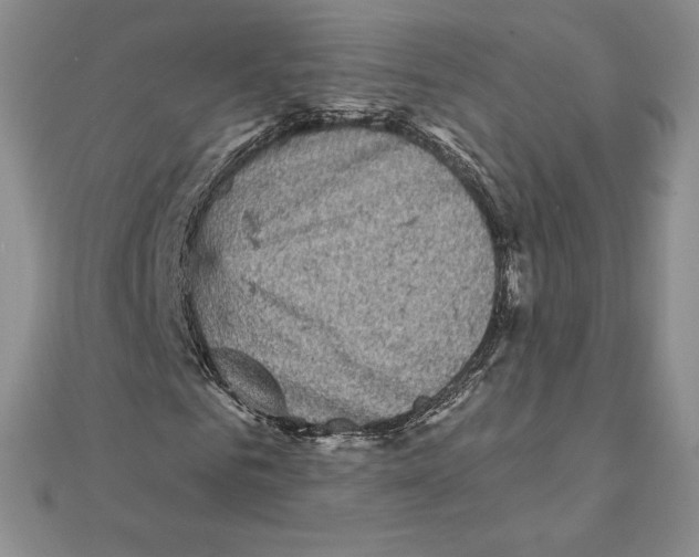 X0000111130961200907281047