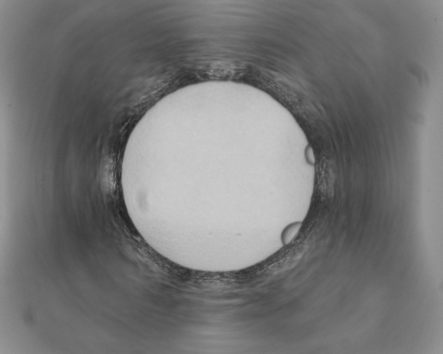 X0000111130962200907281047