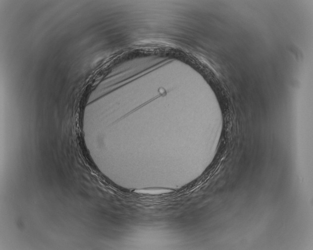 X0000111130965200907281047