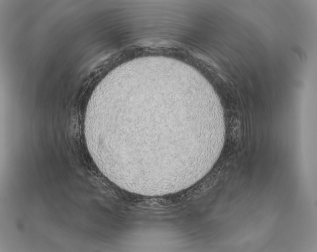 X0000111130966200907281047