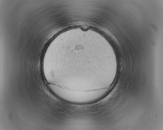 X0000111130969200907281047