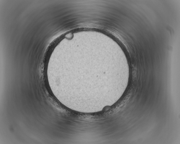 X0000111130971200907281047