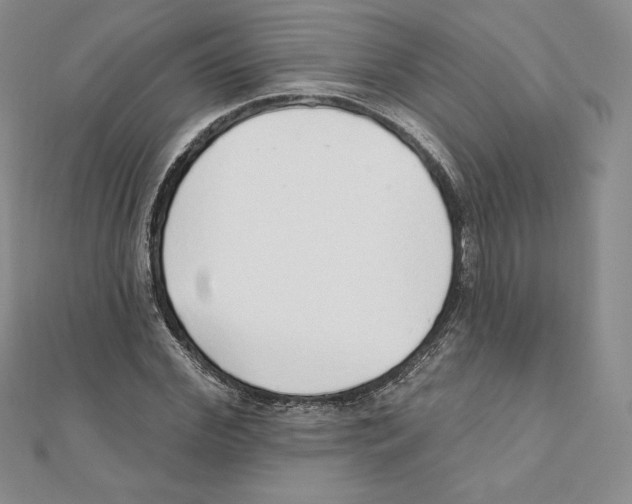 X0000111130972200907281047