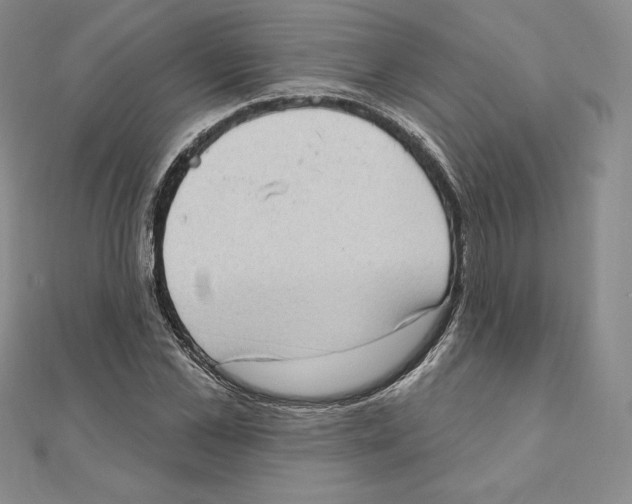 X0000111130973200907281047