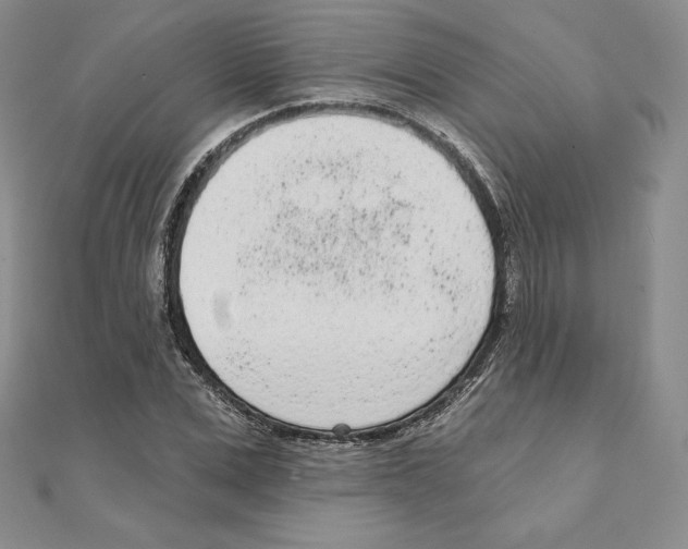 X0000111130975200907281047