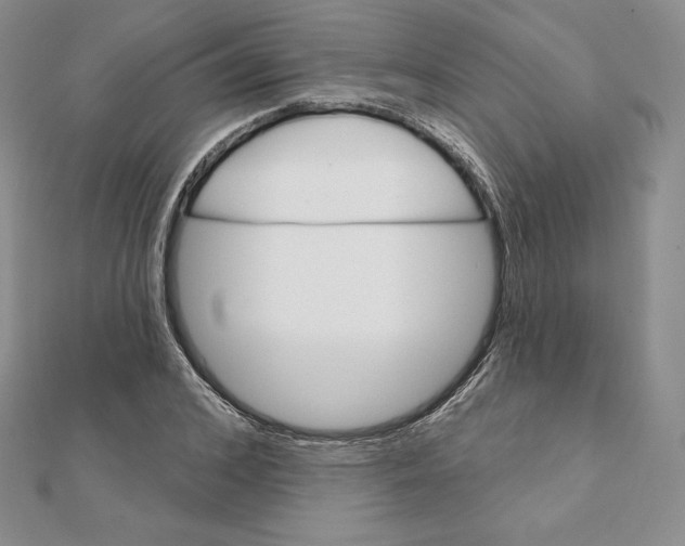 X0000111130976200907281047