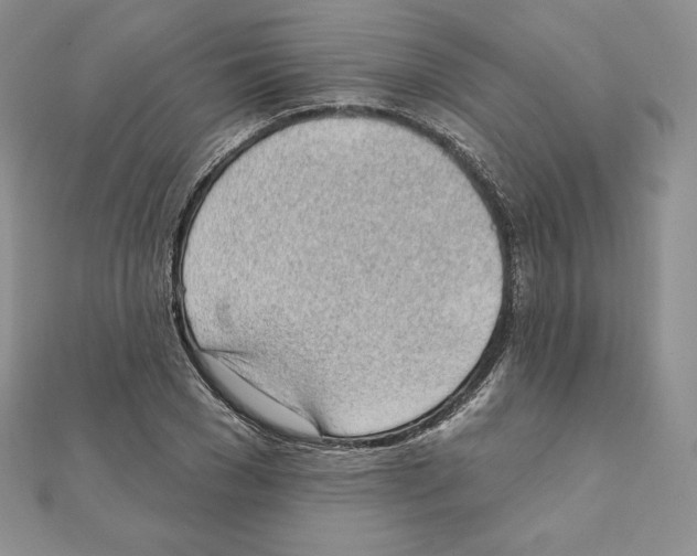 X0000111130977200907281047
