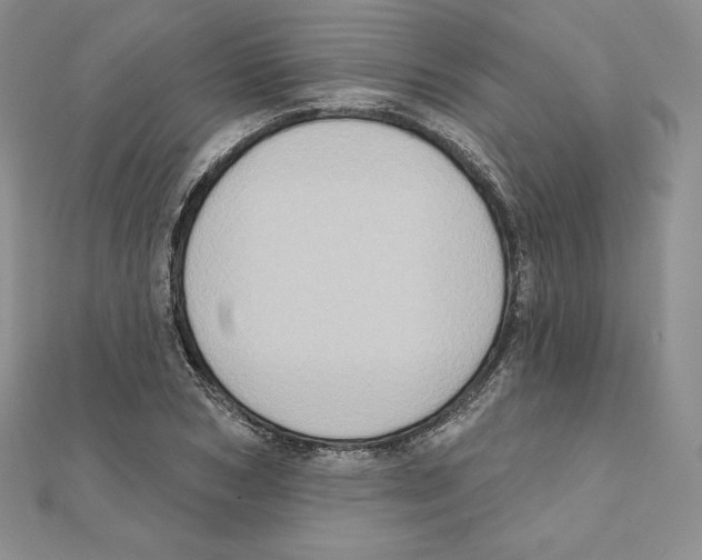 X0000111130978200907281047