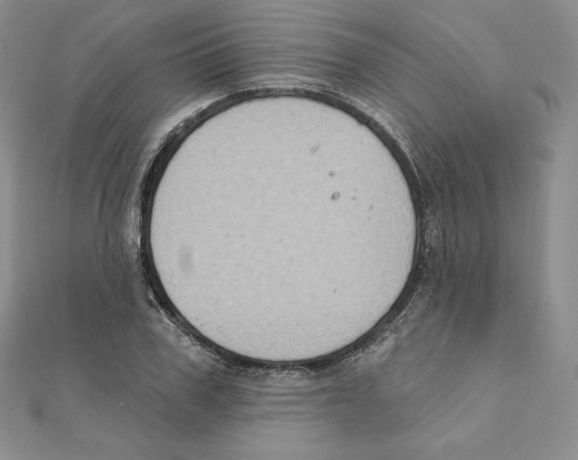 X0000111130979200907281047