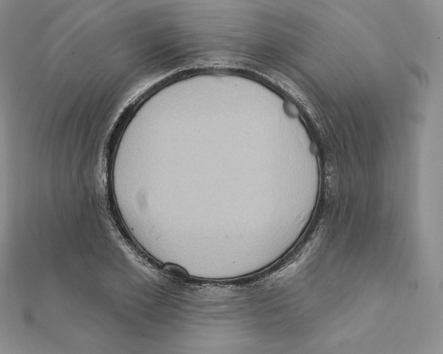 X0000111130981200907281047