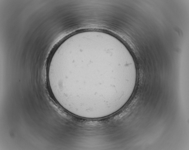 X0000111130982200907281047