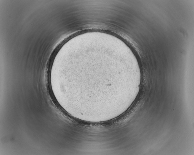 X0000111130983200907281047