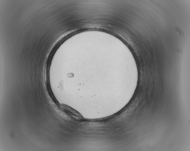 X0000111130984200907281047