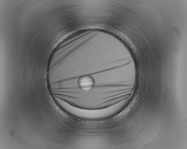 X0000111130985200907281047