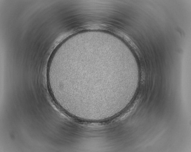 X0000111130986200907281047