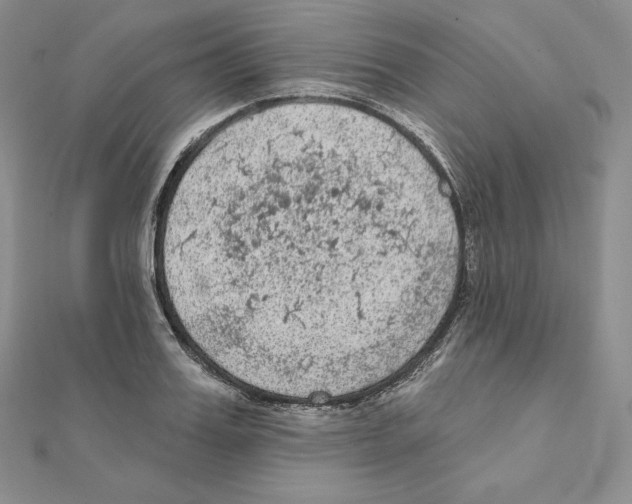X0000111130987200907281047