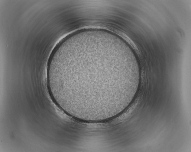 X0000111130988200907281047