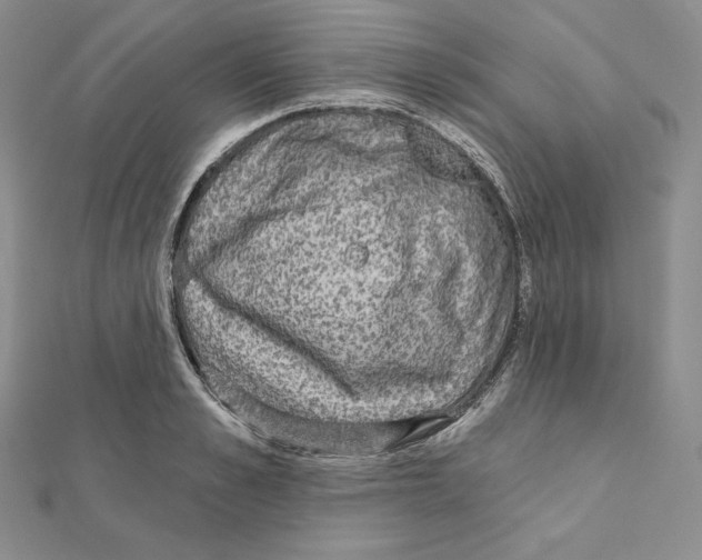 X0000111130989200907281047