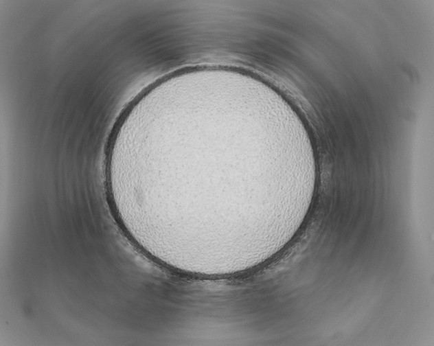 X0000111130990200907281047