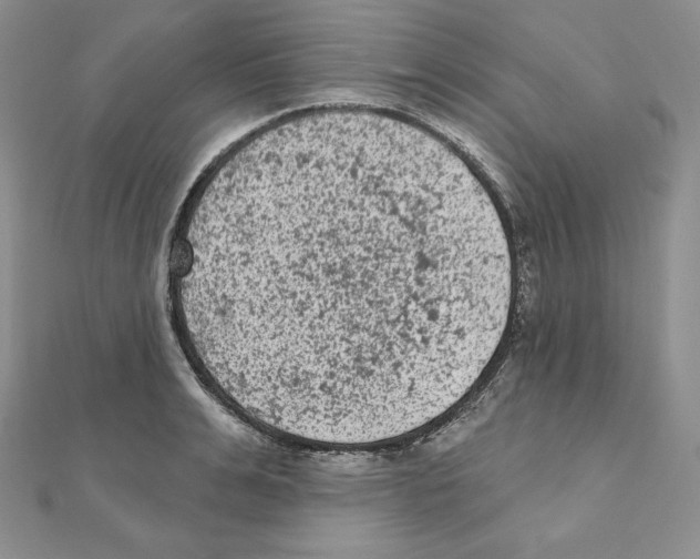 X0000111130991200907281047