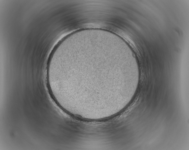 X0000111130992200907281047