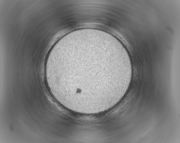 X0000111130994200907281046