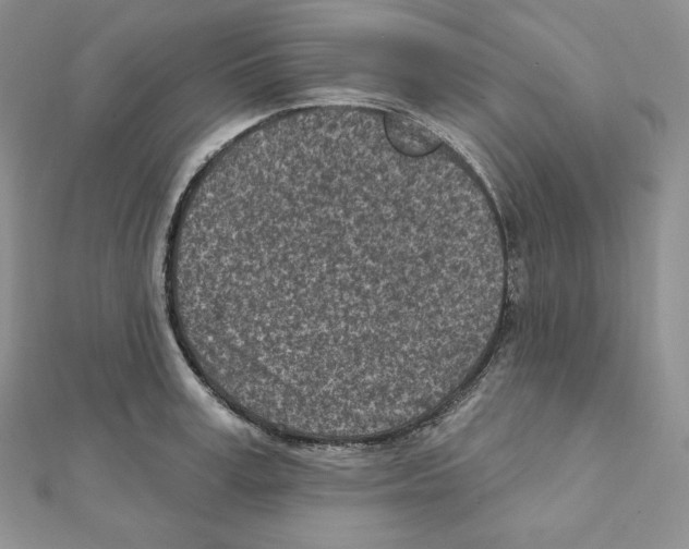 X0000111130995200907281046