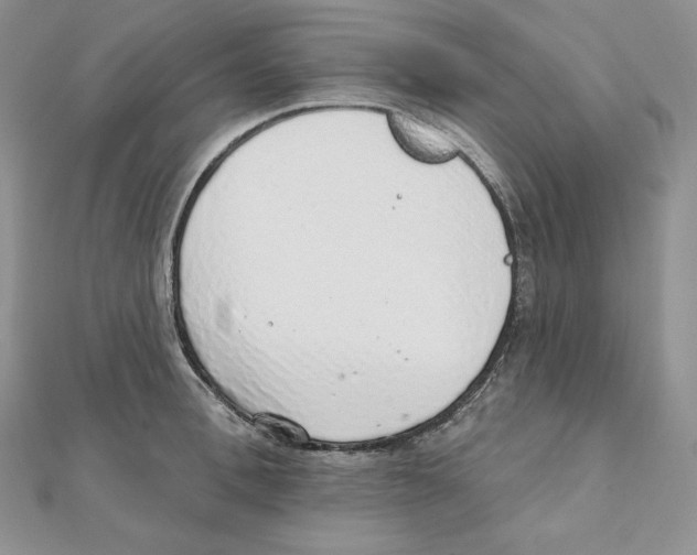 X0000111130996200907281046