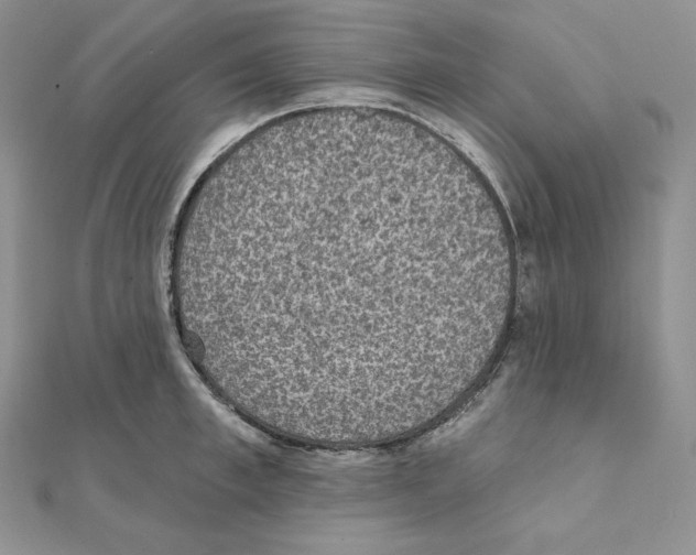 X0000111130997200907281046