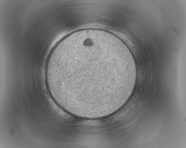 X0000111130998200907281046