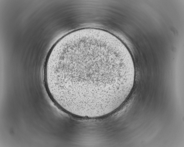 X0000111130999200907281046