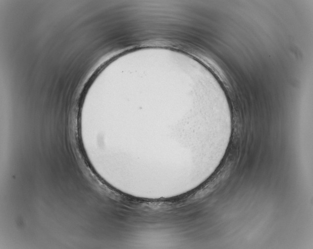 X0000111131000200907281046