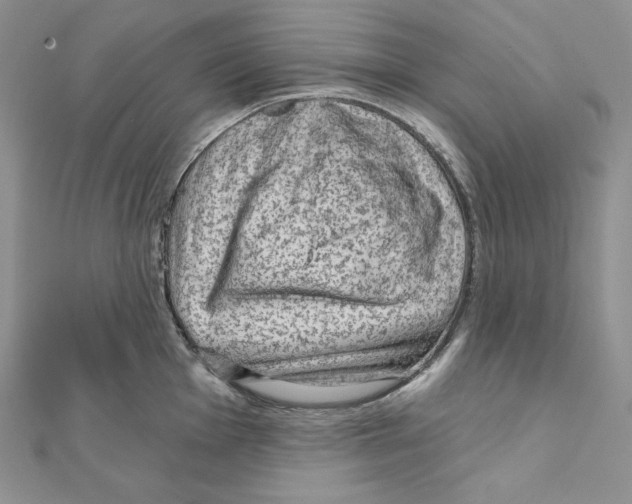 X0000111131001200907281046