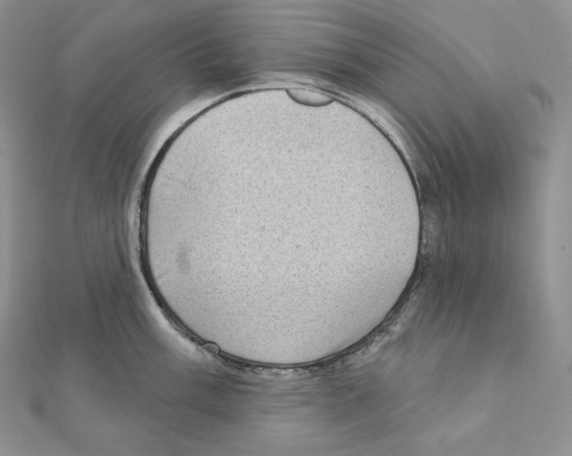 X0000111131003200907281046