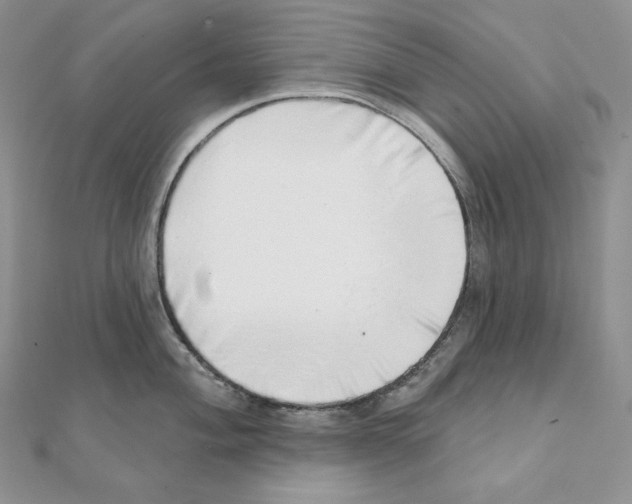 X0000111131004200907281046