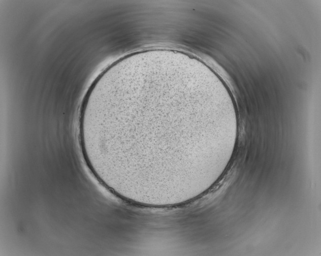 X0000111131005200907281046